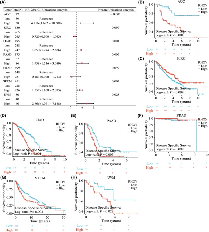PMC10626275 – feb413698-fig-0006