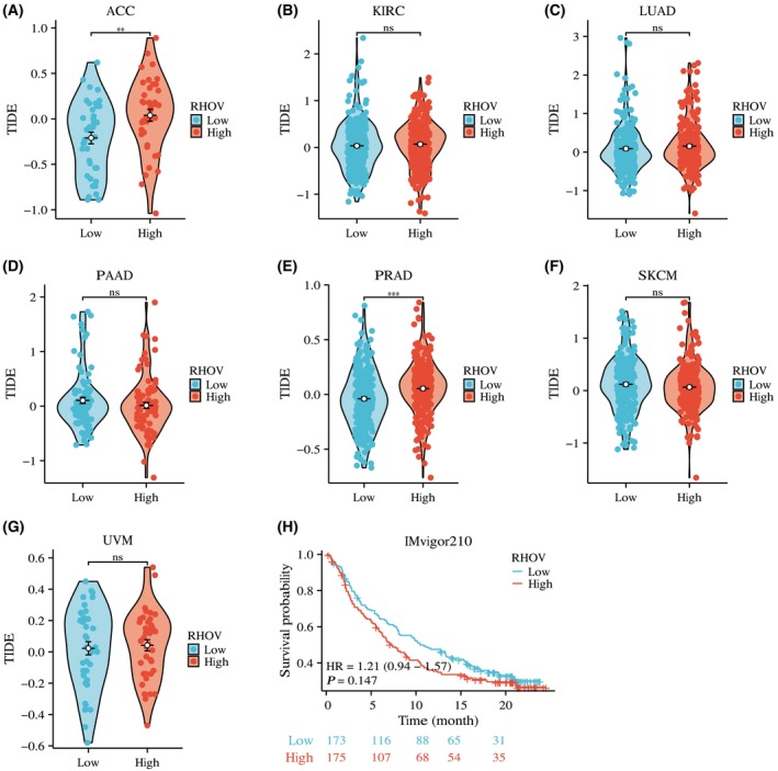 PMC10626275 – feb413698-fig-0013