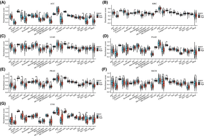 PMC10626275 – feb413698-fig-0011