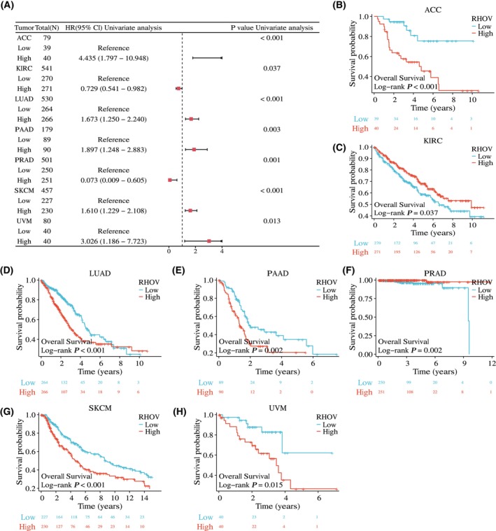 PMC10626275 – feb413698-fig-0005