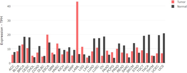 PMC12401183 – feb470026-fig-0003
