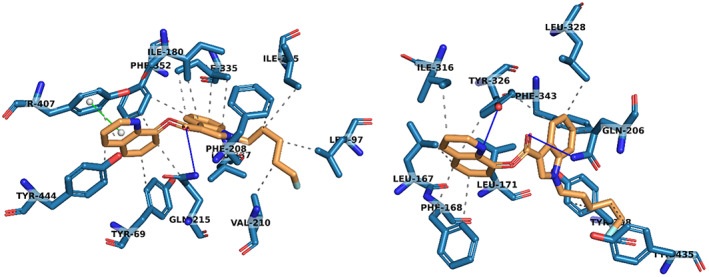 PMC10952593 – febs16741-fig-0002