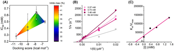 PMC10952593 – febs16741-fig-0007