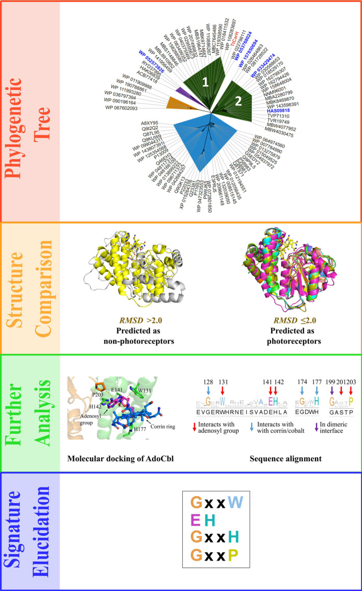 PMC11796333 – febs17377-fig-0002