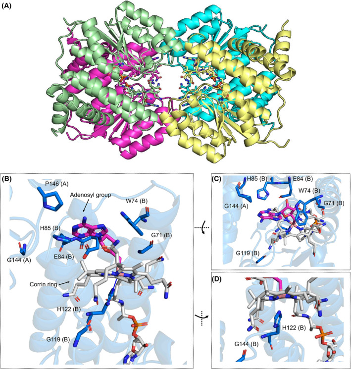 PMC11796333 – febs17377-fig-0006