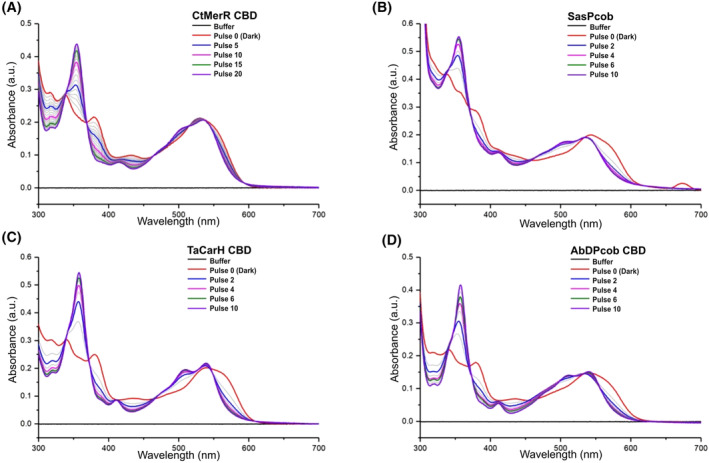 PMC11796333 – febs17377-fig-0005