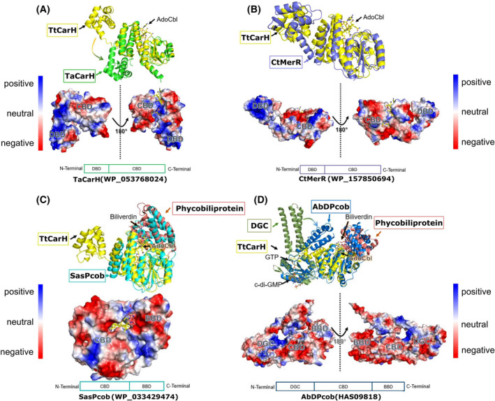 PMC11796333 – febs17377-fig-0003