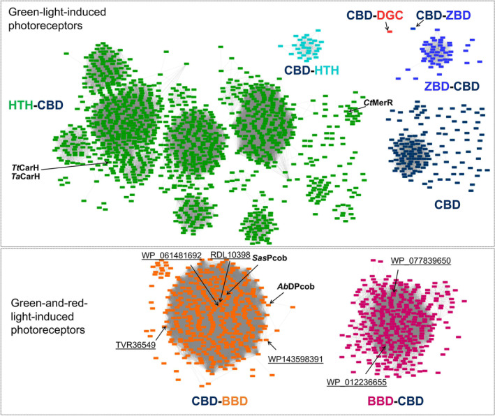 PMC11796333 – febs17377-fig-0009