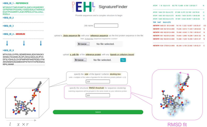 PMC11796333 – febs17377-fig-0001