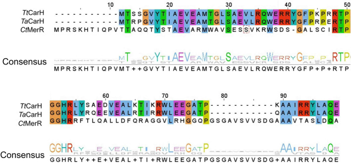 PMC11796333 – febs17377-fig-0004
