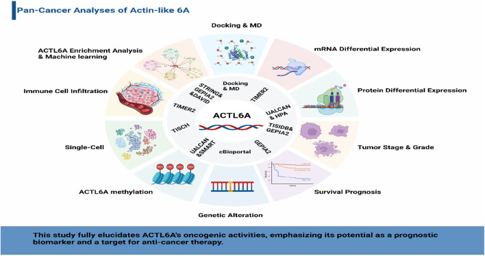 PMC11170035 – d100e475