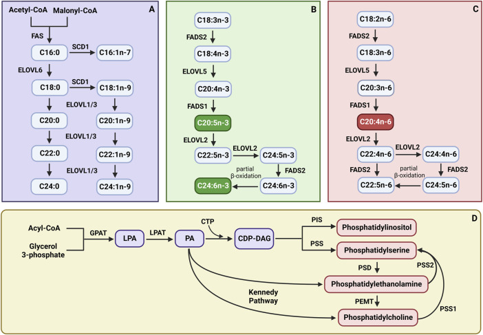 PMC11196617 – sch1