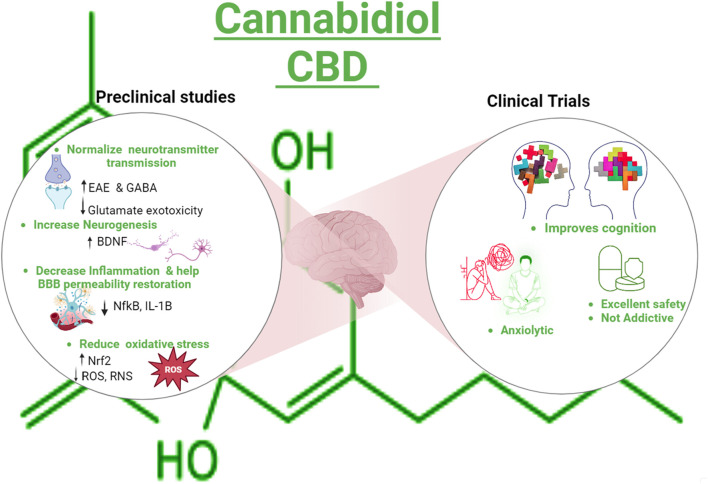 PMC11422111 – d100e249