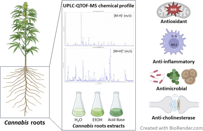 PMC11440120 – d100e250