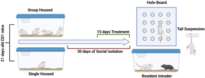 PMC12605412 – sch1