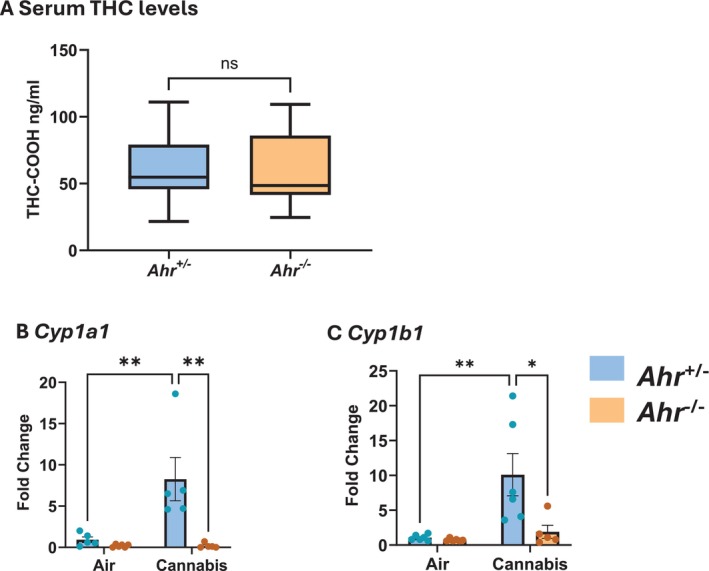 PMC12442951 – fsb271027-fig-0001
