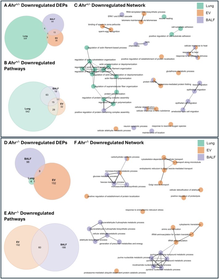 PMC12442951 – fsb271027-fig-0006