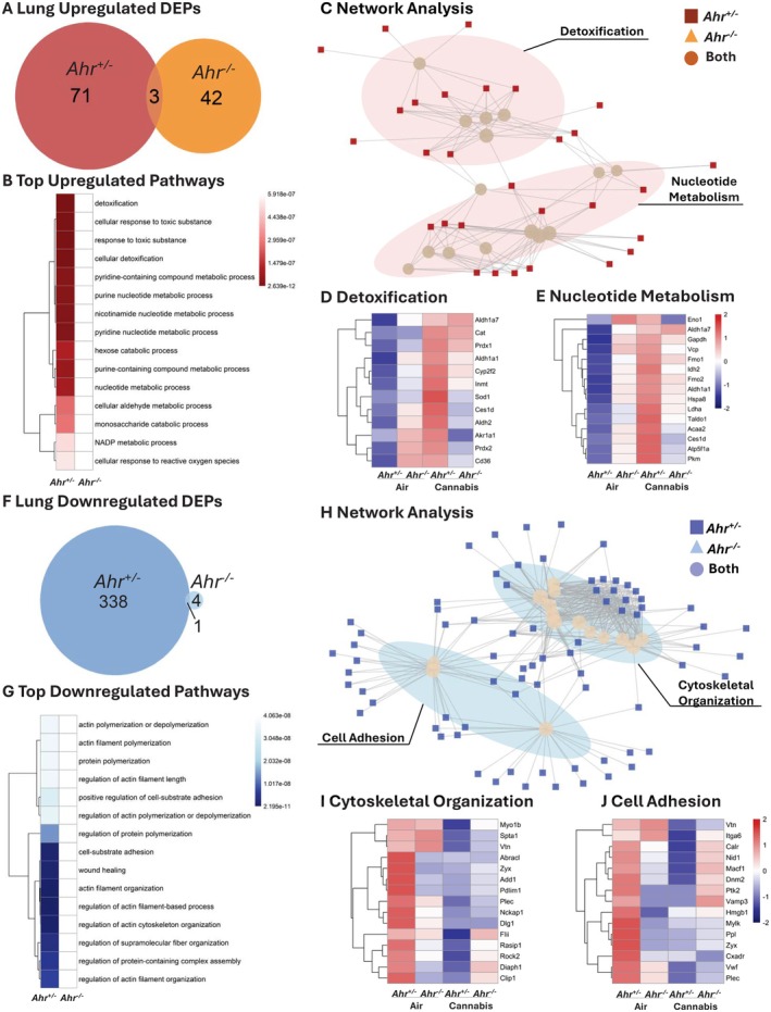 PMC12442951 – fsb271027-fig-0007
