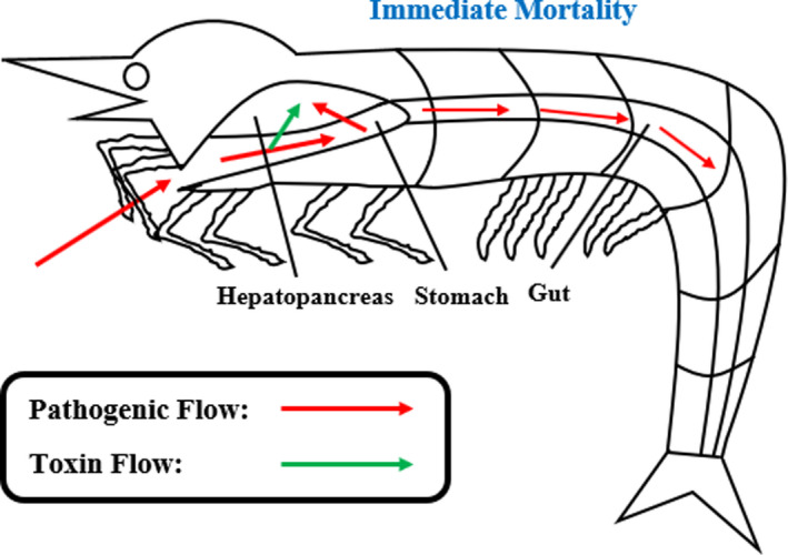 PMC9361443 – fsn32873-fig-0001