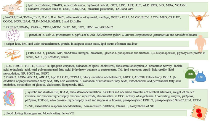PMC10345702 – fsn33407-fig-0001