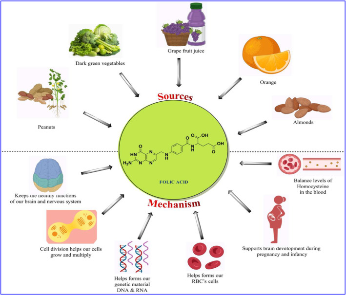 PMC10804103 – fsn33787-fig-0004