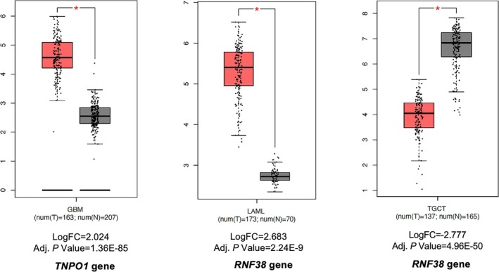 PMC12121447 – fsn370332-fig-0005