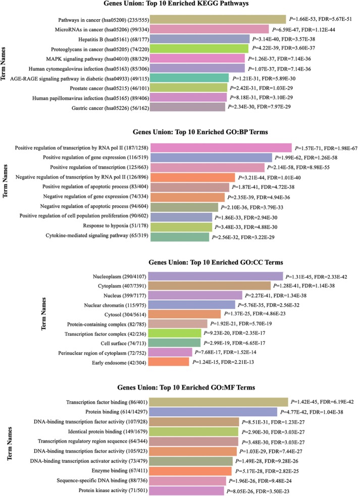 PMC12121447 – fsn370332-fig-0004