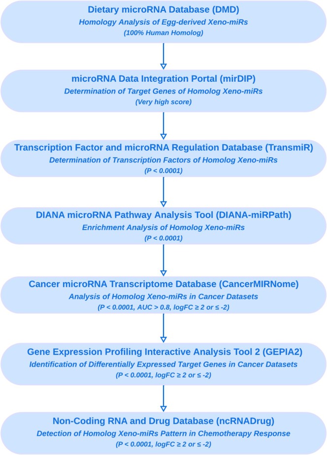 PMC12121447 – fsn370332-fig-0001