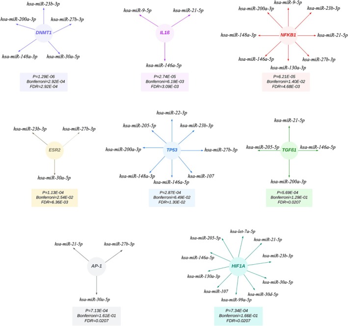 PMC12121447 – fsn370332-fig-0003