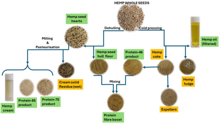 PMC12421313 – fsn370954-fig-0001