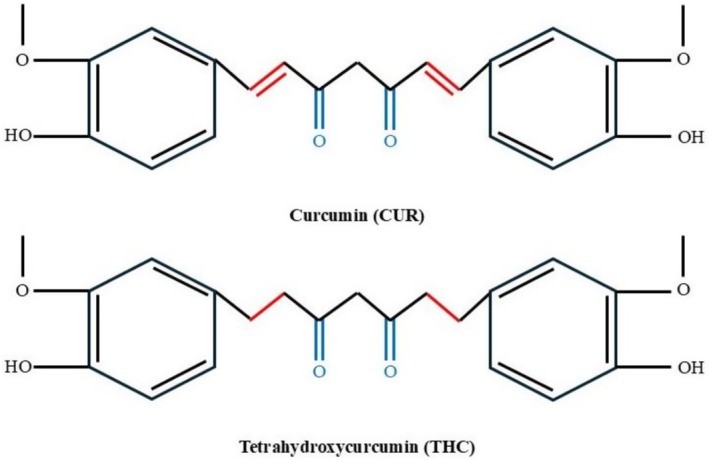 PMC12571771 – fsn371125-fig-0001
