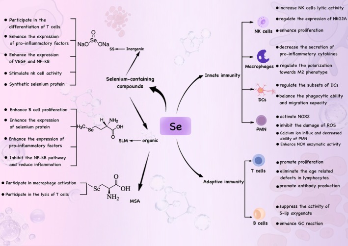PMC12661086 – fsn371230-fig-0003
