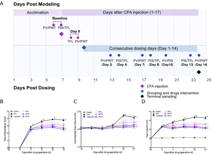 PMC13093352 – fsn371626-fig-0001