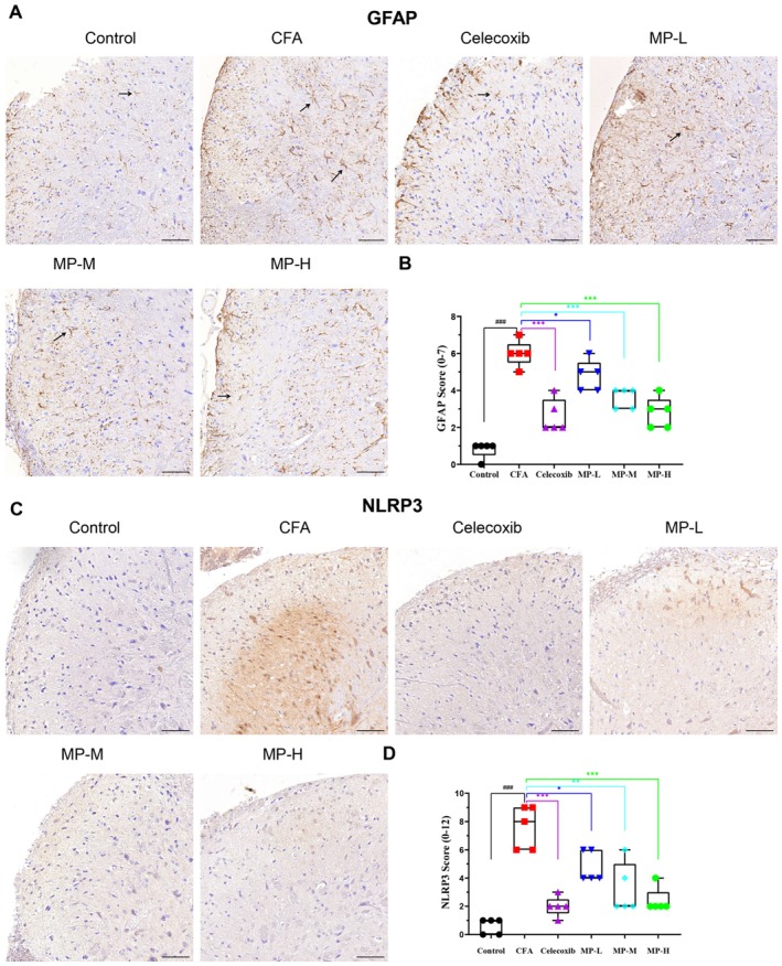 PMC13093352 – fsn371626-fig-0004