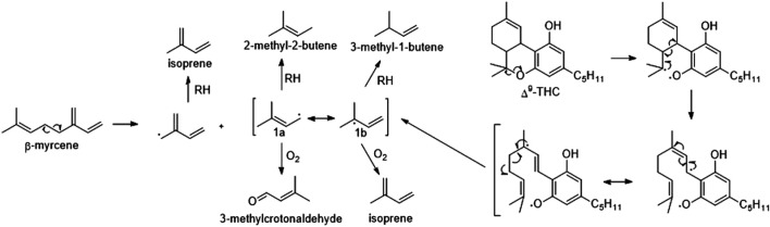 PMC12183170 – sch1