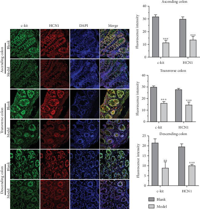 PMC12133367 – fig1