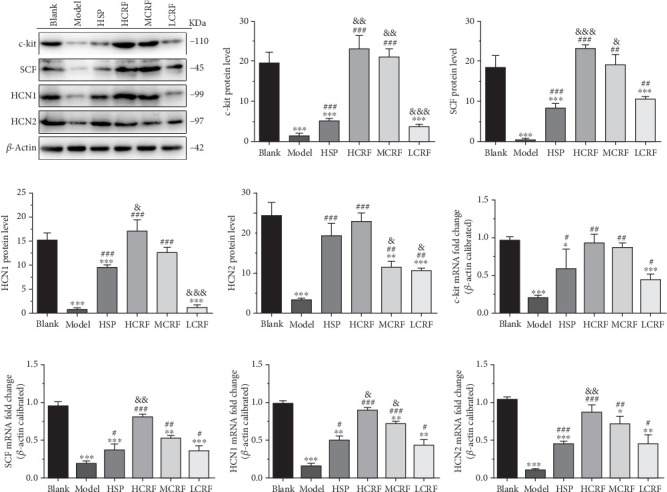 PMC12133367 – fig5