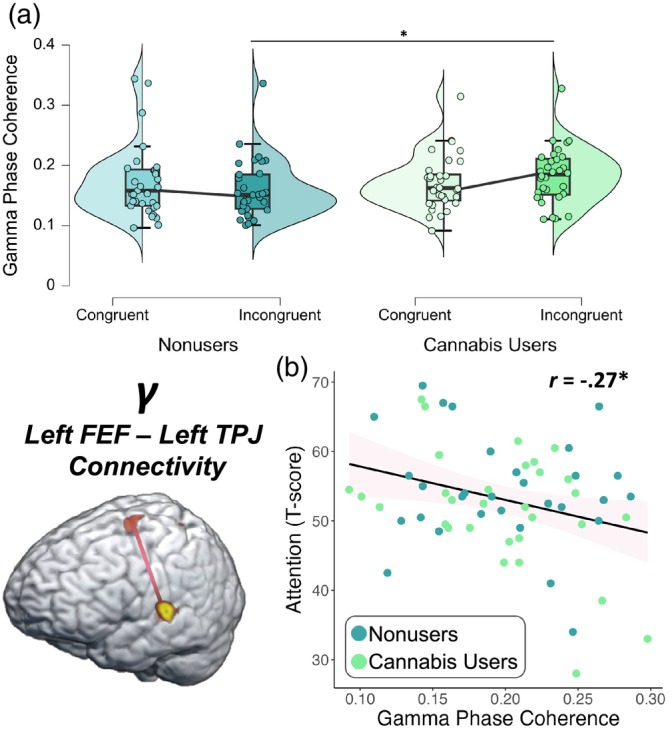 PMC11256138 – hbm26787-fig-0006