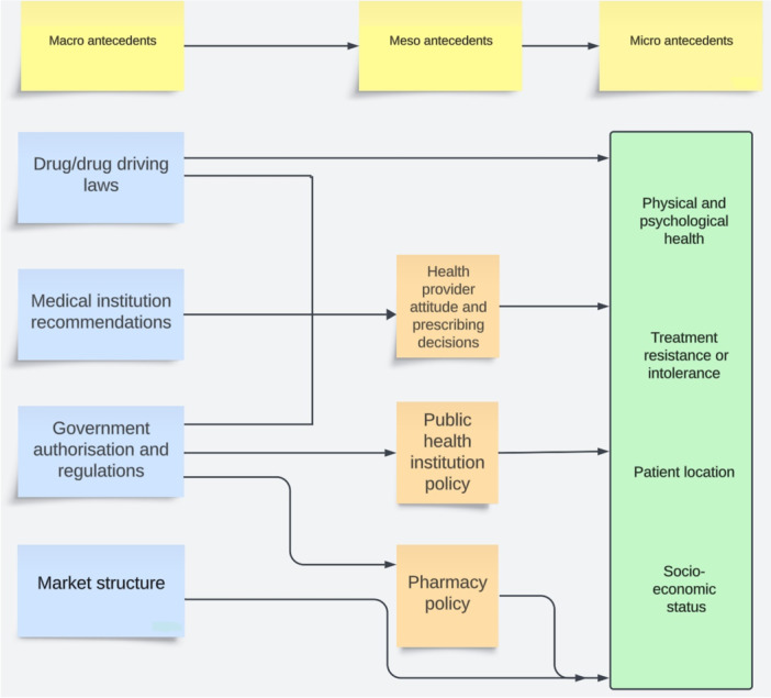 PMC11811393 – hex70176-fig-0001