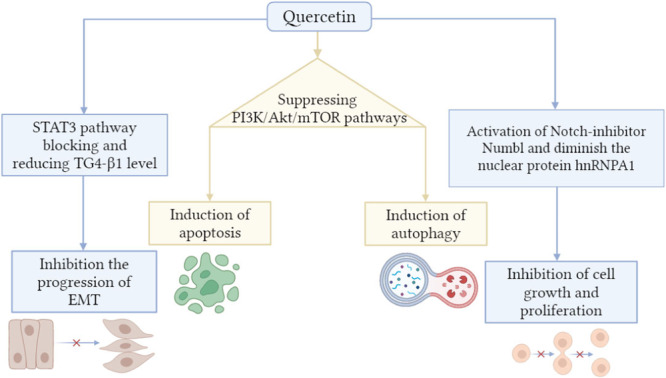 PMC11056788 – hsr22085-fig-0005