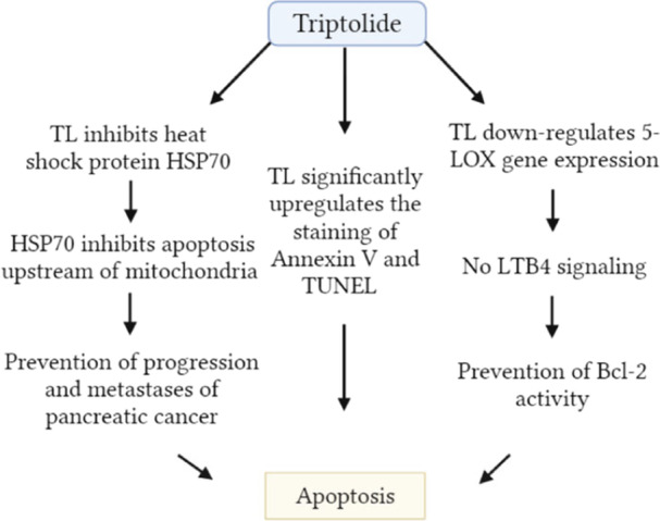 PMC11056788 – hsr22085-fig-0007