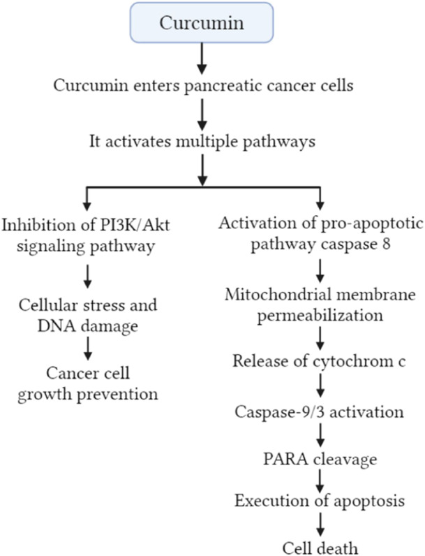 PMC11056788 – hsr22085-fig-0004