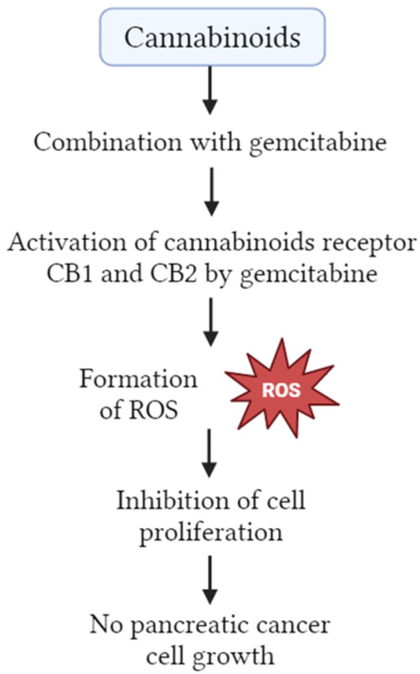 PMC11056788 – hsr22085-fig-0003