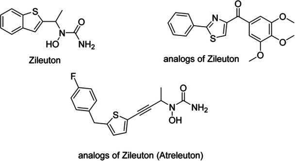 PMC12865227 – hsr271803-fig-0010
