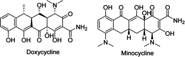 PMC12865227 – hsr271803-fig-0005