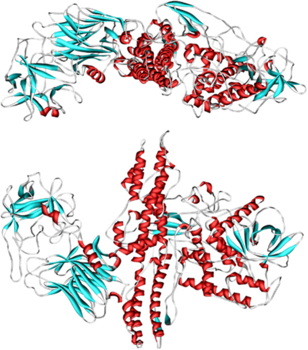 PMC12865227 – hsr271803-fig-0012