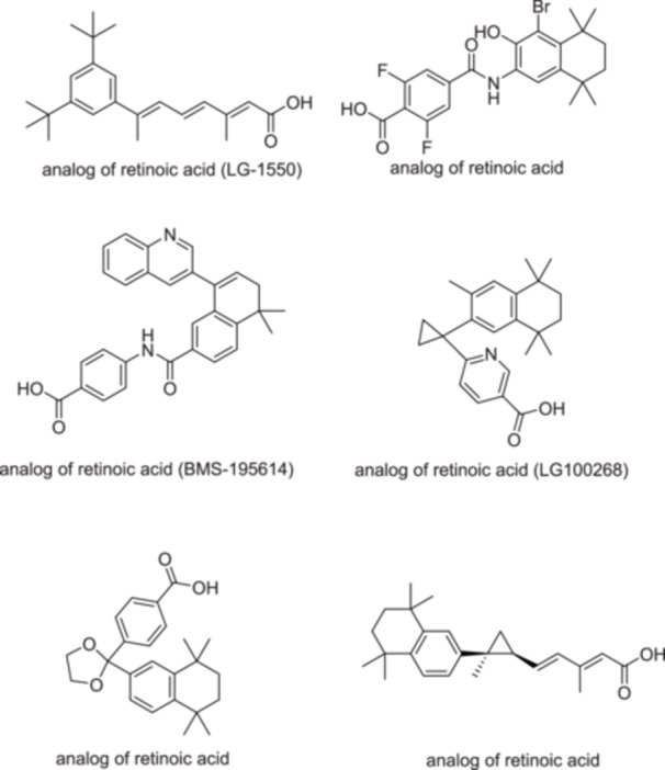 PMC12865227 – hsr271803-fig-0002