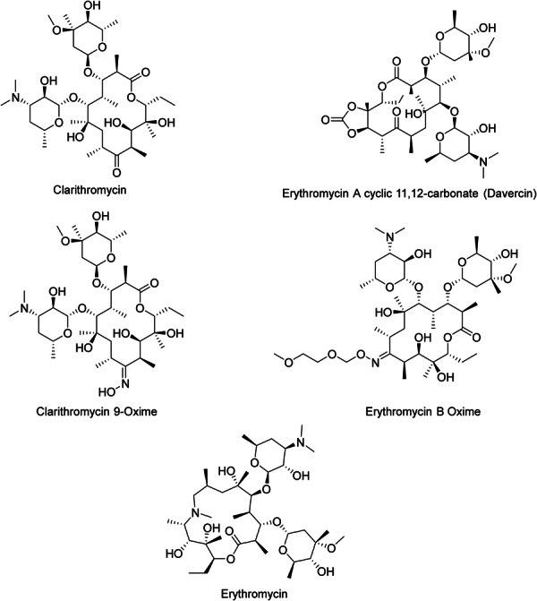 PMC12865227 – hsr271803-fig-0004