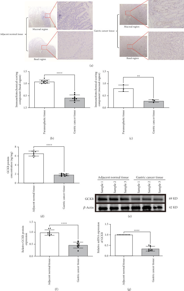 PMC12611472 – fig3