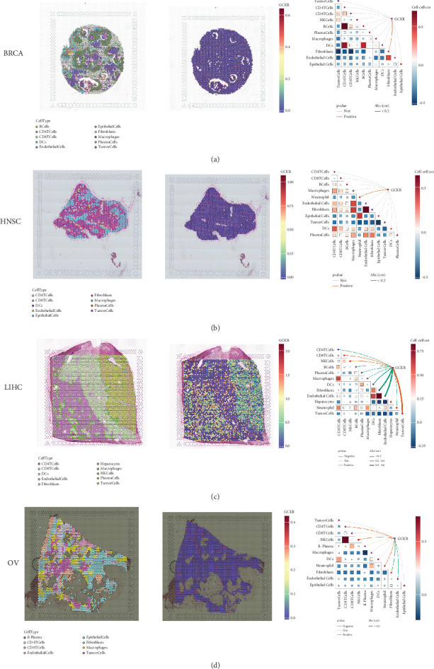 PMC12611472 – fig9